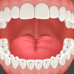 [Giải đáp] Răng hàm có thay không ở người lớn và trẻ em?