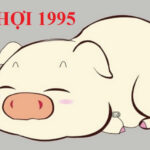 [Giải đáp thắc mắc] Người sinh năm 1995 mệnh gì?