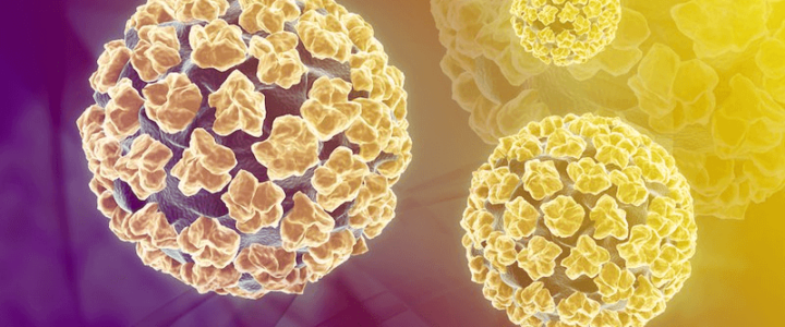HPV là gì? HPV có thể gây ra những bệnh gì?