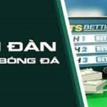 Hướng dẫn cách đá tiền vệ trung tâm sân 11 người siêu hiệu quả 