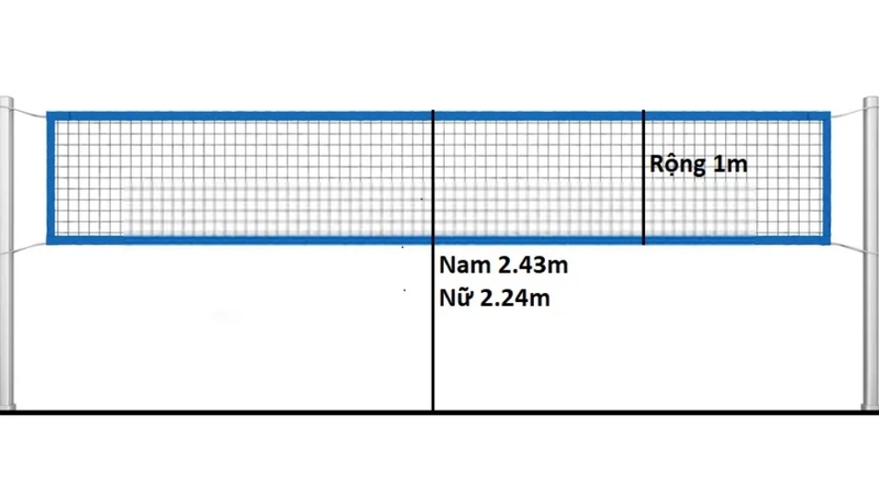 Lưới bóng chuyền nam tiêu chuẩn cao 2,43 m, đo từ mặt sân đến mép trên lưới. 