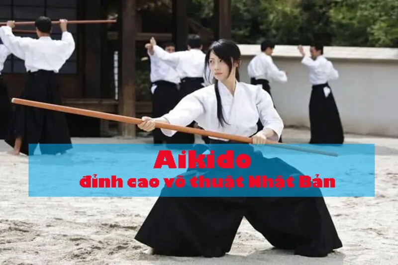 Tên gọi Aikido mang ý nghĩa con đường hòa hợp năng lượng và rèn luyện bản thân