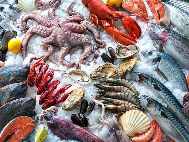 Người bị Gout nên hạn chế các loại hải sản giàu purin như cá mòi, cá trích, sò, hàu, tôm, cua