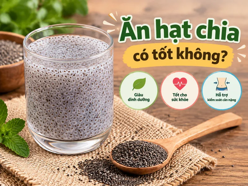 Để giải đáp ăn hạt chia có tốt không, bạn cần hiểu rõ thành phần dinh dưỡng cô đặc gồm protein, chất xơ và omega-3 bên trong loại hạt nhỏ bé này.