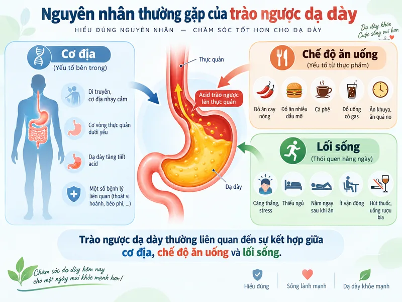Trào ngược dạ dày thường liên quan đến sự kết hợp giữa cơ địa, chế độ ăn uống và lối sống.